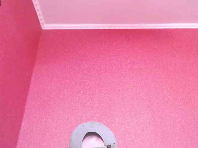 TorryJ webcam
