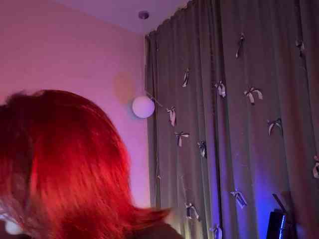 Vilgelmina webcam