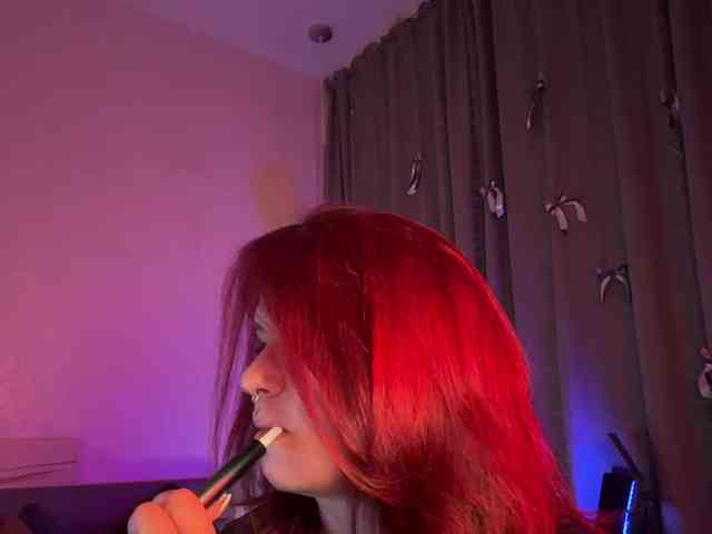 Vilgelmina webcam