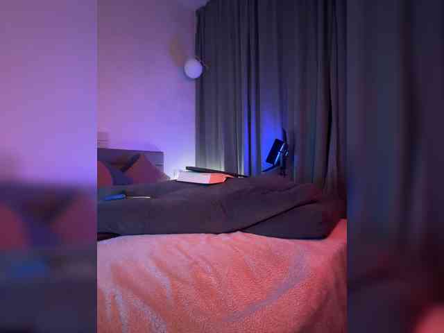 Vilgelmina webcam