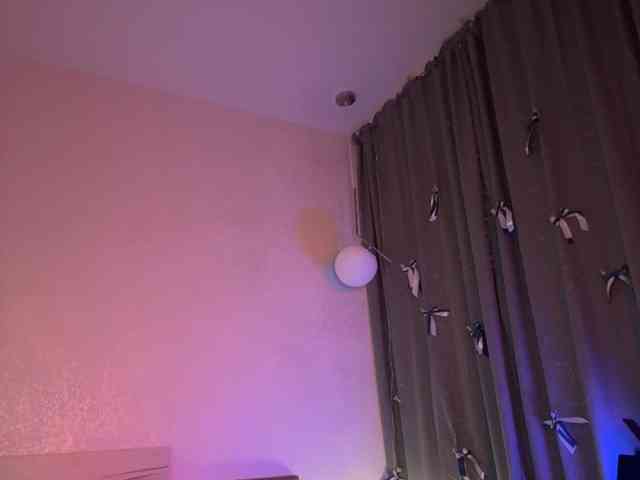 Vilgelmina webcam