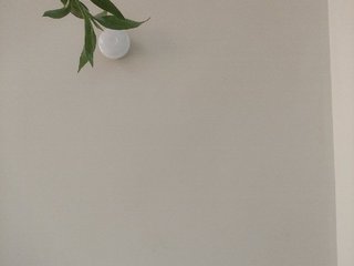 NinaBelluschi Porn Show