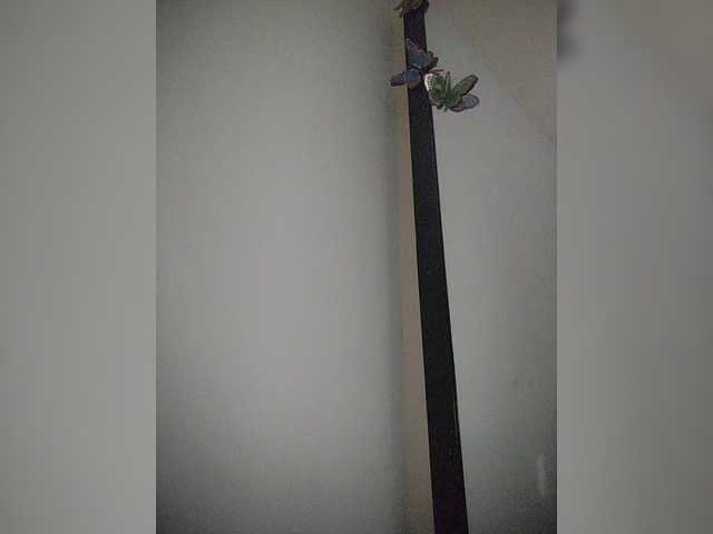 Preview of ninabelluschi