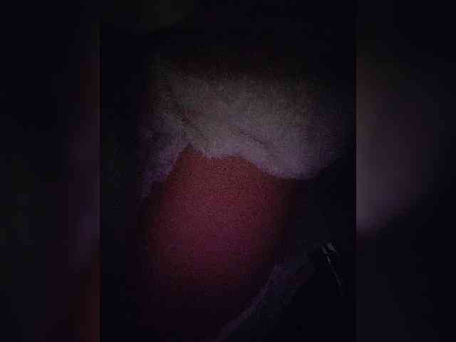 NinaBelluschi webcam