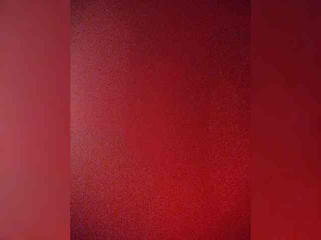 NinaBelluschi webcam