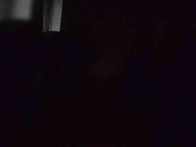 NinaBelluschi webcam