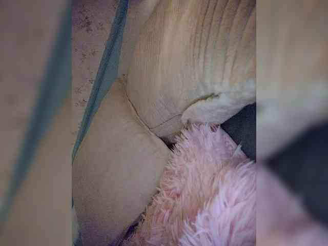 Модель: NinaBelluschi