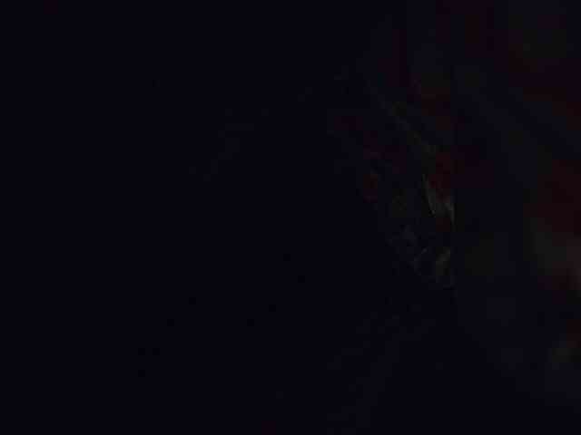 NinaBelluschi webcam