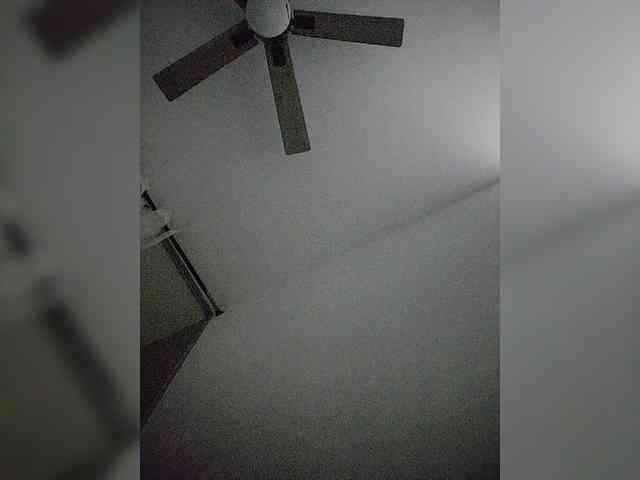 NinaBelluschi webcam