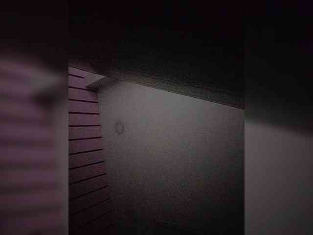 Модель: NinaBelluschi