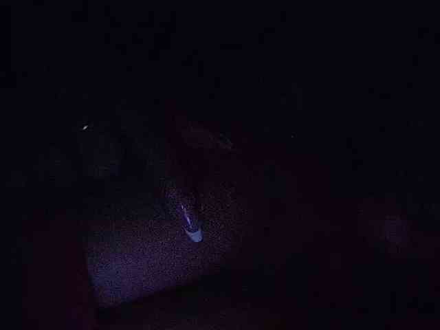 NinaBelluschi webcam