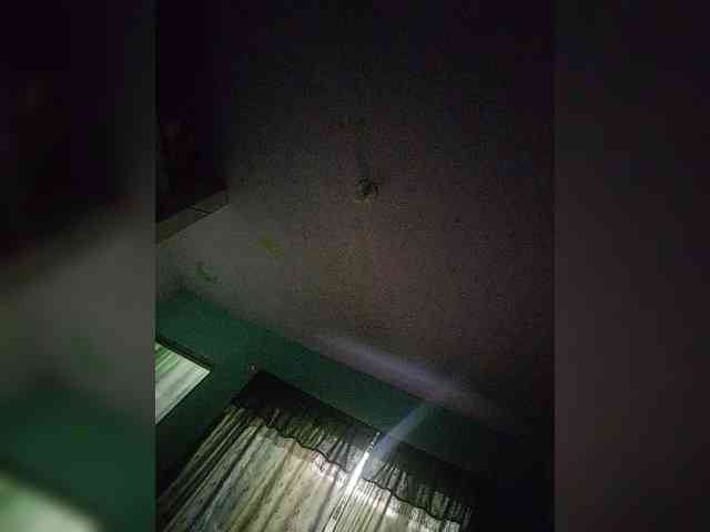 NinaBelluschi webcam