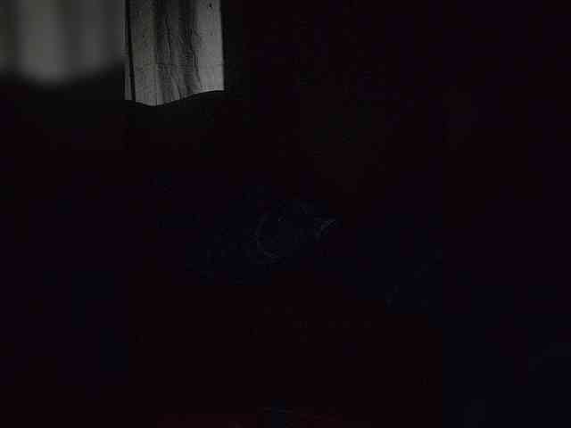 NinaBelluschi webcam