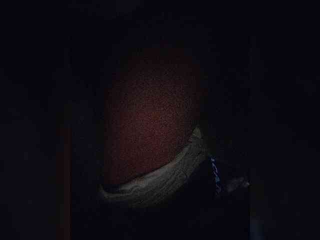 NinaBelluschi webcam