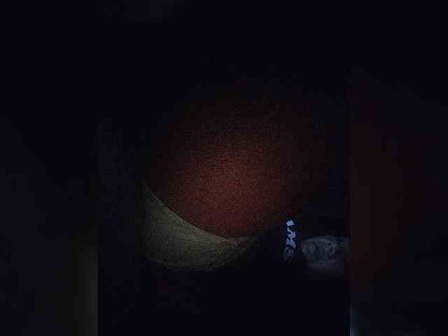 NinaBelluschi webcam