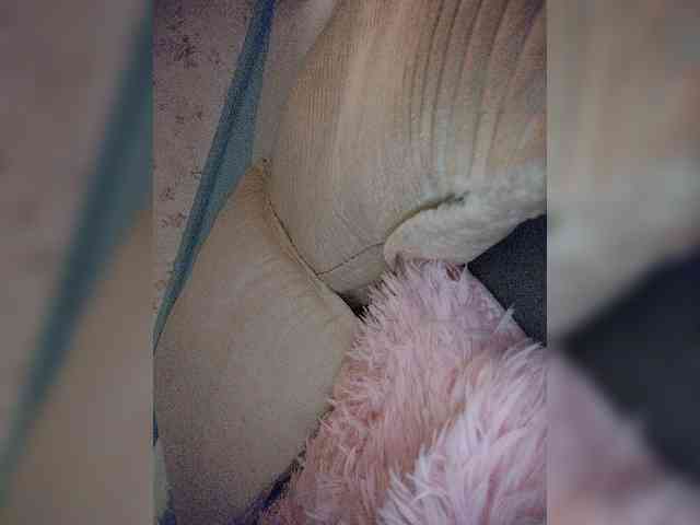 Модель: NinaBelluschi