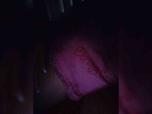 NinaBelluschi webcam