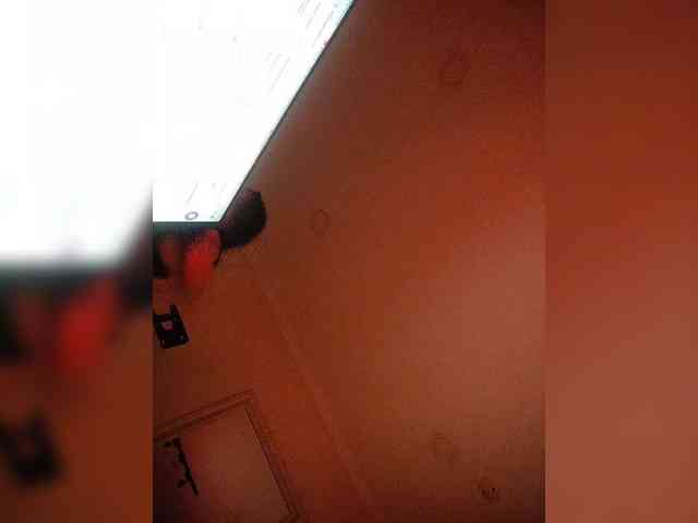 Модель: NinaBelluschi