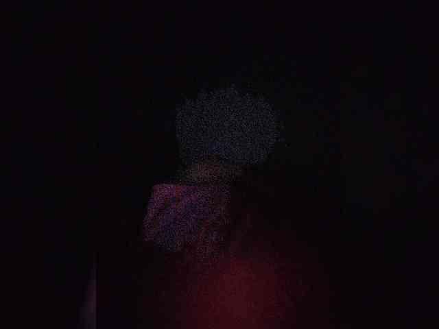 NinaBelluschi webcam