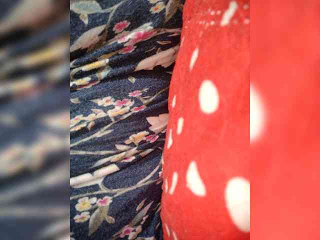 NinaBelluschi webcam