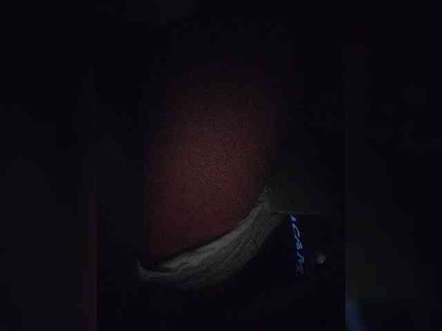 NinaBelluschi webcam