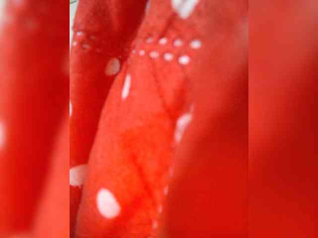 NinaBelluschi webcam