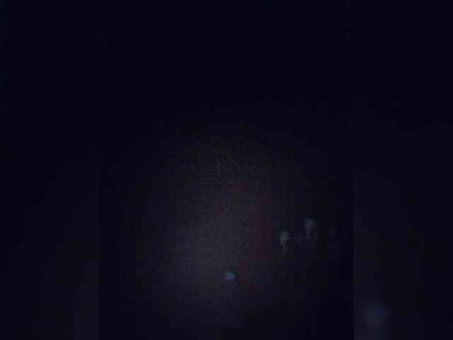 NinaBelluschi webcam