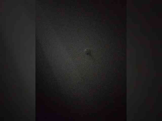 NinaBelluschi webcam