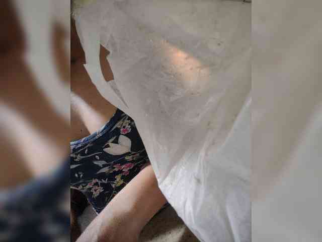 NinaBelluschi webcam