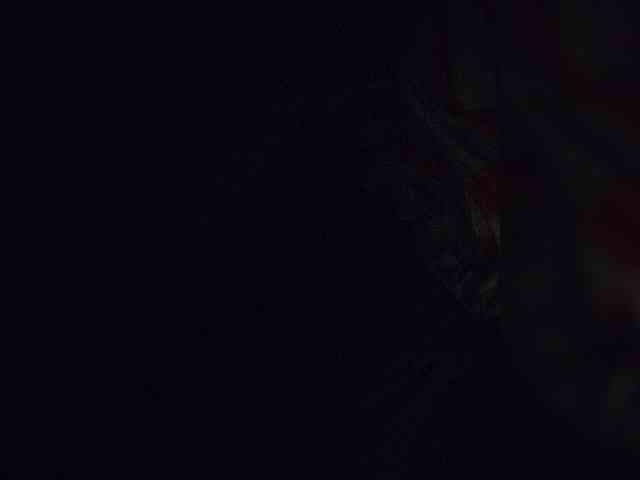 NinaBelluschi webcam