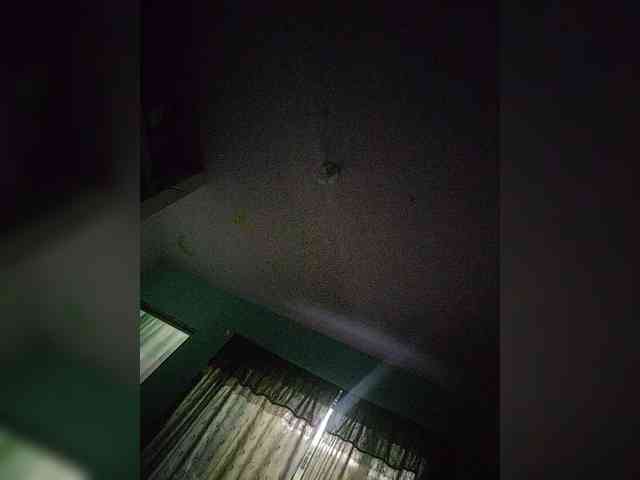 NinaBelluschi webcam