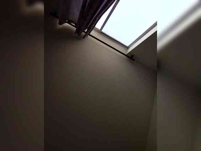 NinaBelluschi webcam