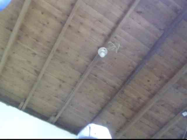 CRIXXO7