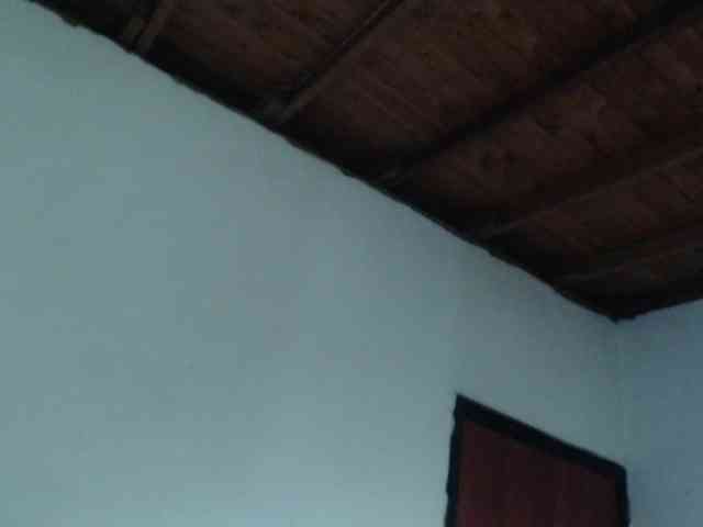 CRIXXO7 CRIXXO7