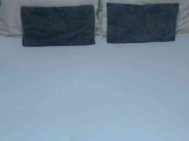 JustTouchMe webcam