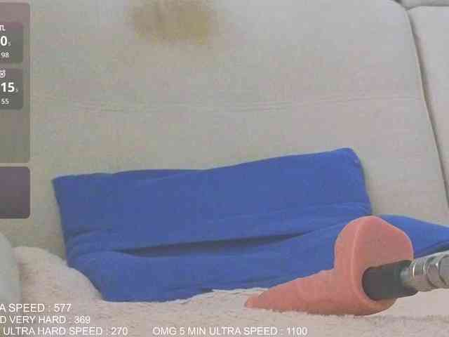 Sunny-Rose webcam