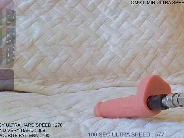 Sunny-Rose webcam