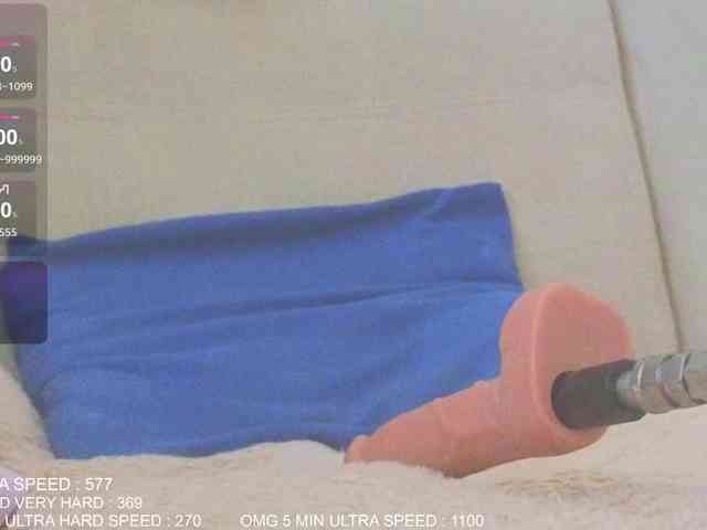 Sunny-Rose webcam