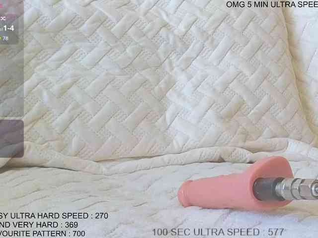 Sunny-Rose webcam