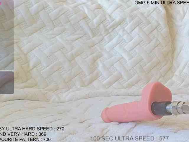 Sunny-Rose webcam