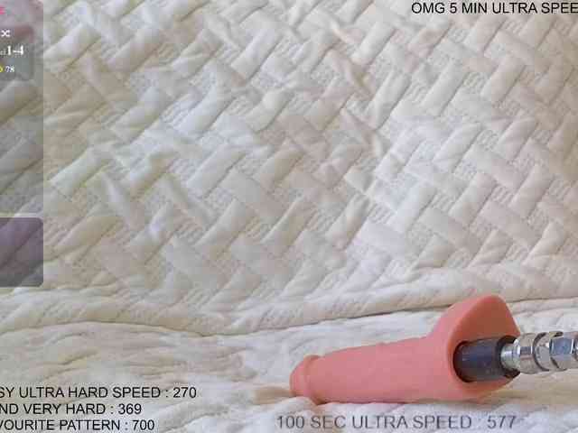 Sunny-Rose webcam