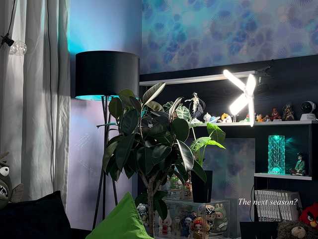 KiraLiLime's BongaCams show and profile