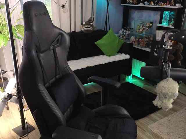 Kira_Li_Lime webcam