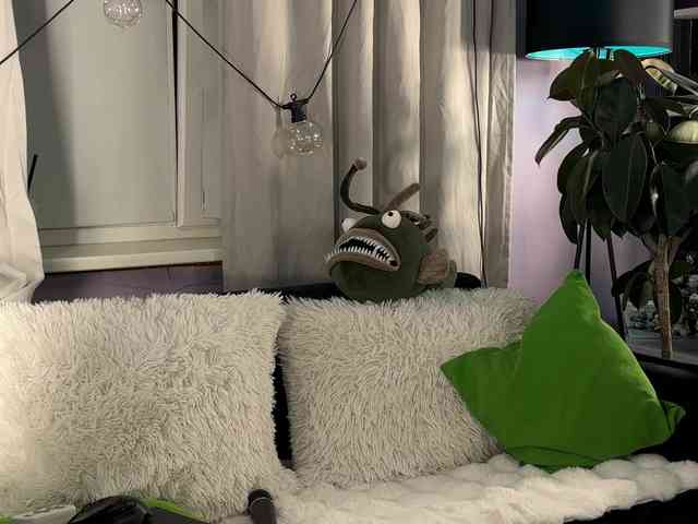 Модель: Kira_Li_Lime