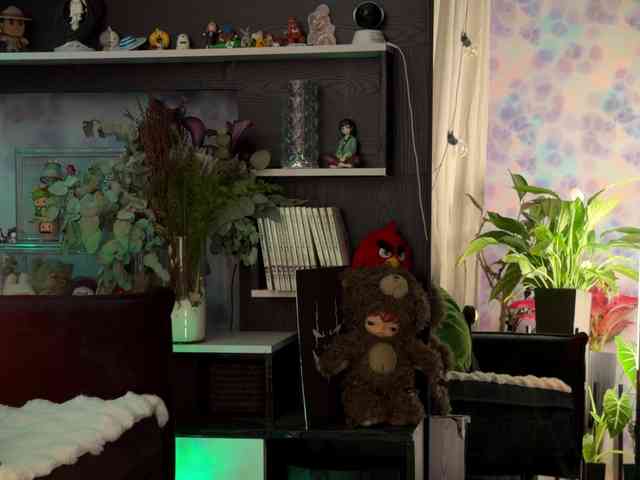 Kira_Li_Lime webcam