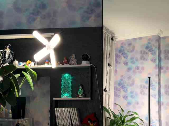 Модель: Kira_Li_Lime