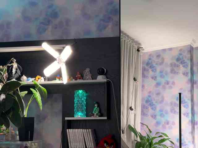 Модель: Kira_Li_Lime