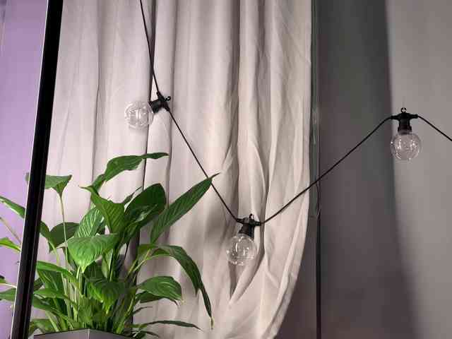 Модель: Kira_Li_Lime