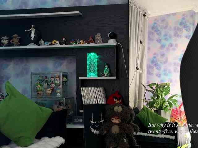 Kira_Li_Lime webcam