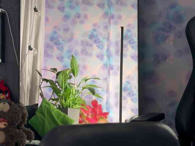 Kira_Li_Lime webcam